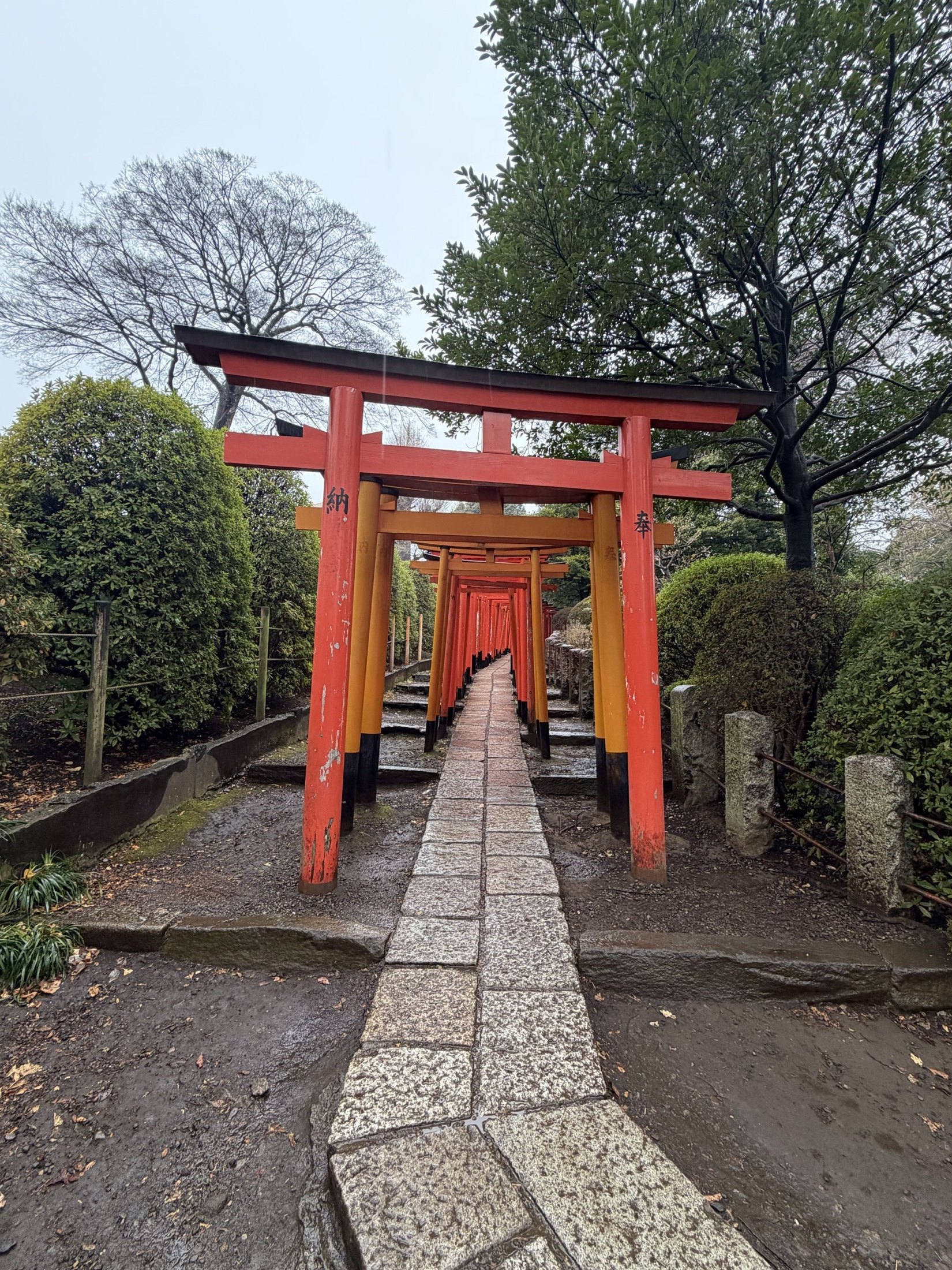 Passage de torii rouges au Japon après la pluie