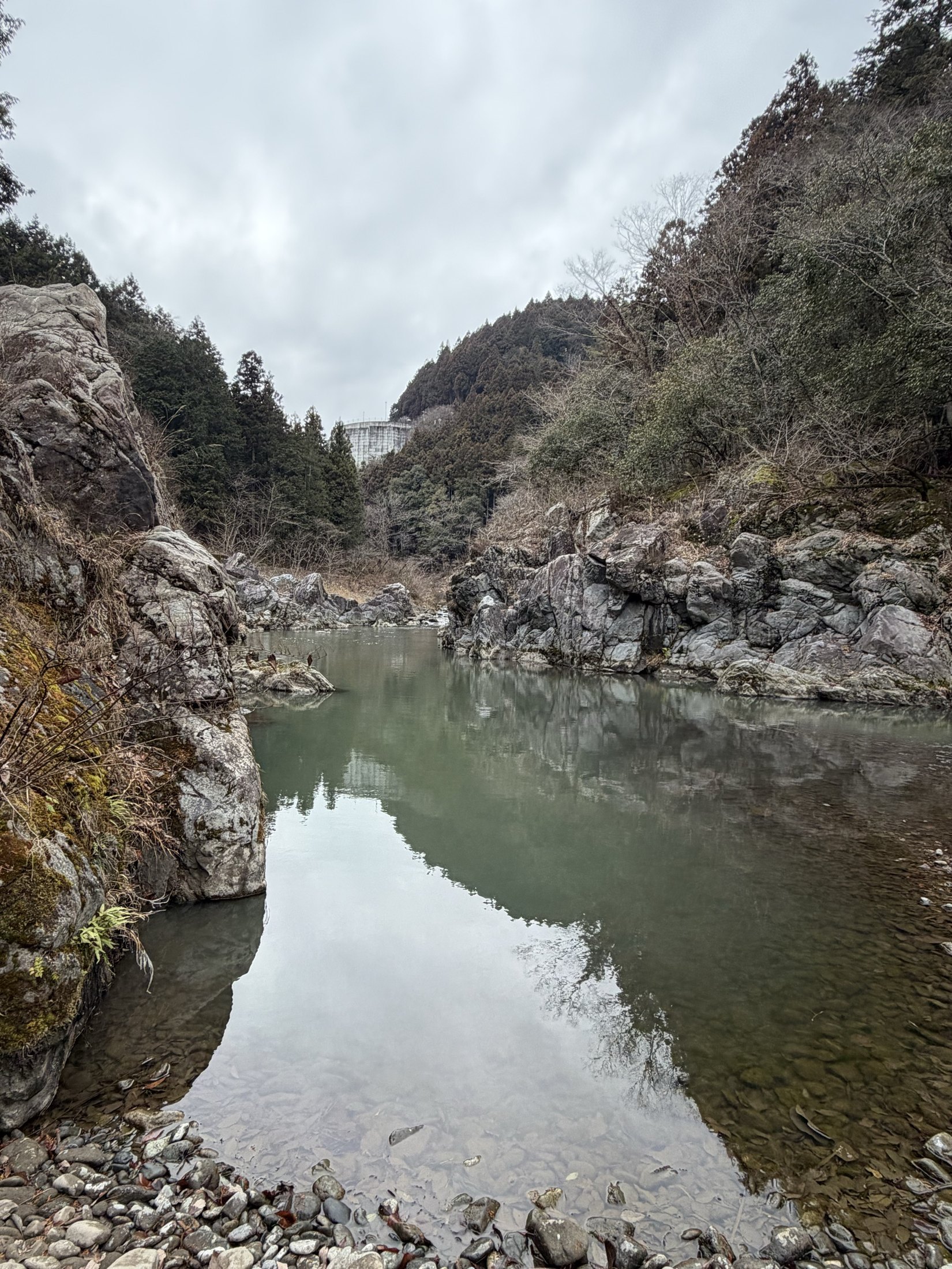 Gorge boisée au Japon découverte en train depuis Tokyo