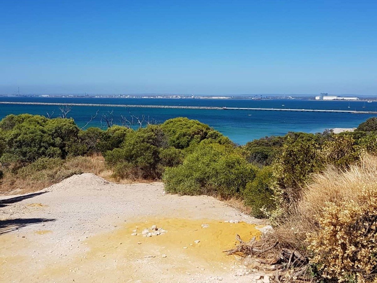 Chemin descendant vers l’océan dans une lumière claire