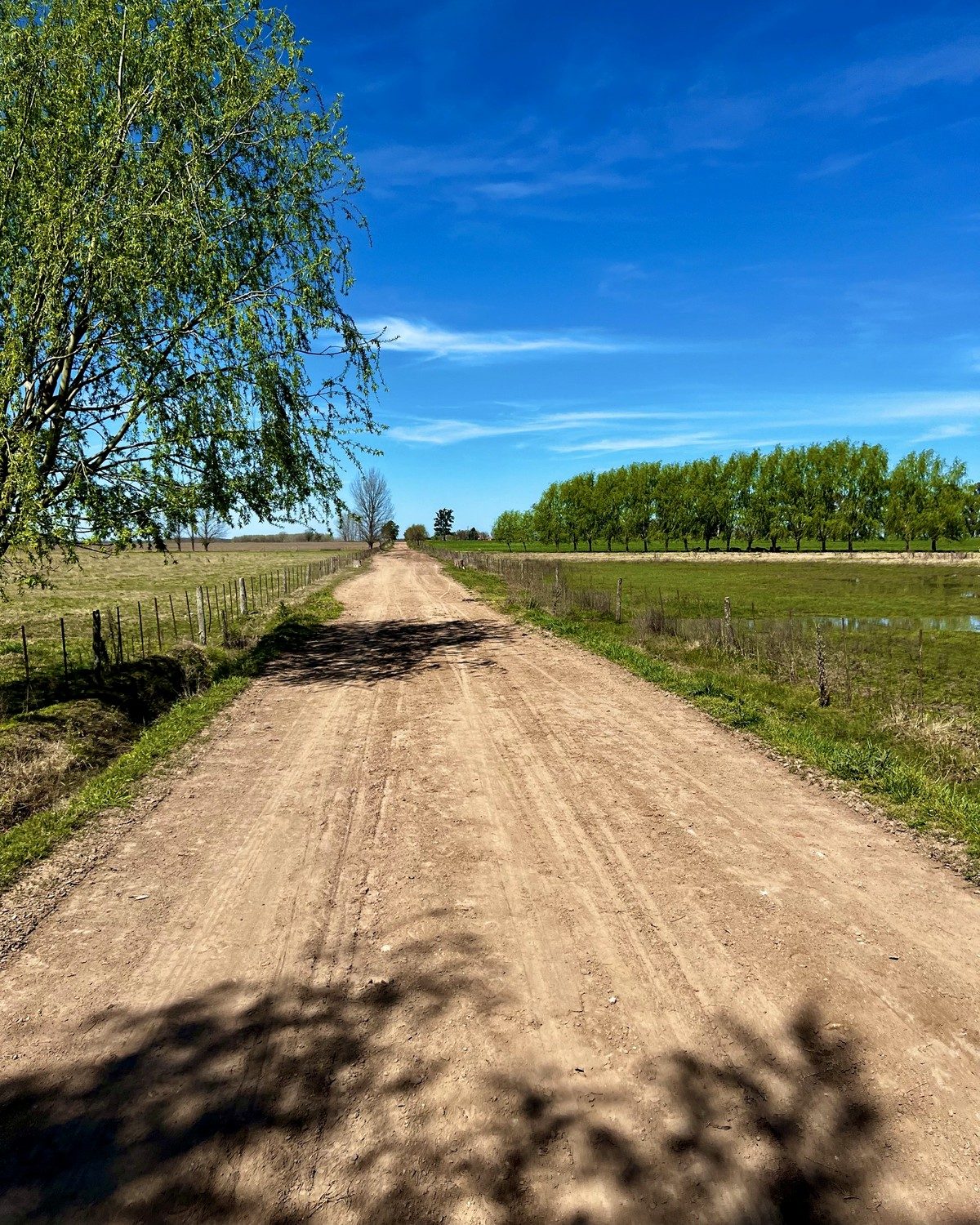 Route de terre paisible illustrant un voyage lent et contemplatif